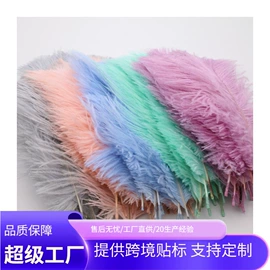 羽毛、羽绒;发夹;场地布置道具