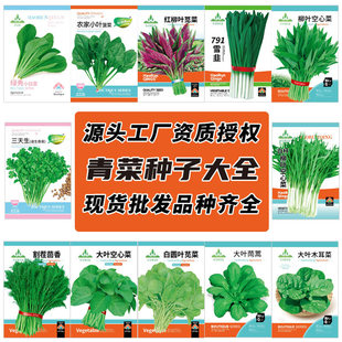 Դ^SlС˷NӴȫ˲ļԾ²Ͳ˷N