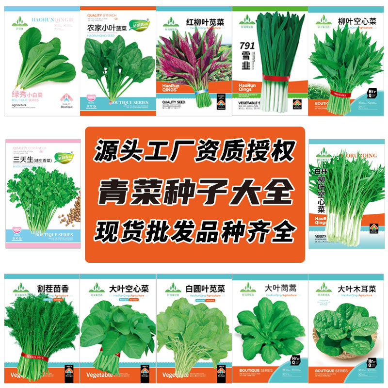 源头工厂批发小青菜种子大全香菜生菜菠菜四季盆栽韭菜油菜种籽孑