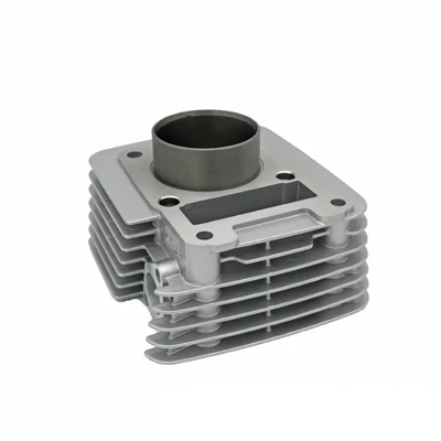 Ttr125/Ybr125/Tianjian 125, Motorcycle engine and accessories