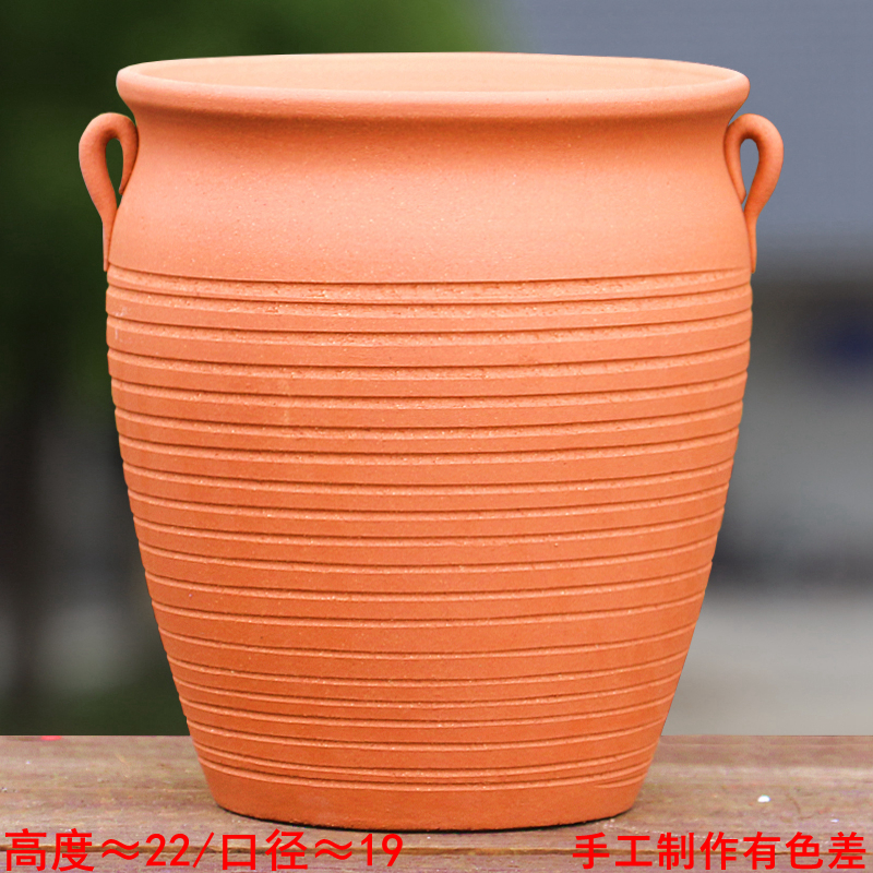 Pot de cerámica de gran altura, cerámica gruesa, planta suculenta, nueve talas de zorro, ciruela triangular, cerámica, maestra, maceta de flores blancas.