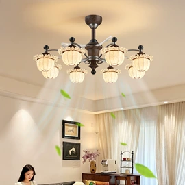 吸顶灯;吊灯;风扇灯