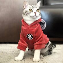 猫咪衣服秋冬季保暖加厚卫衣蓝猫英短布偶幼猫宠物狗狗过冬防寒服