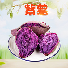 【严选】广东紫薯3/9斤薯番薯农家沙地烤地瓜新鲜紫瓤蜜薯非烟薯