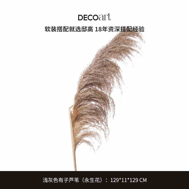 밝은 회색 갈대