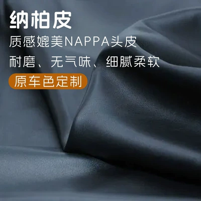 Headrest Tang DMI/EV/DMP special original car