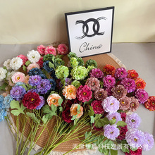 6�^��ɏĵ�����滨��Y��·���廨���ÿ͏d�ҾӾƵ�ߙn�[���ٻ�