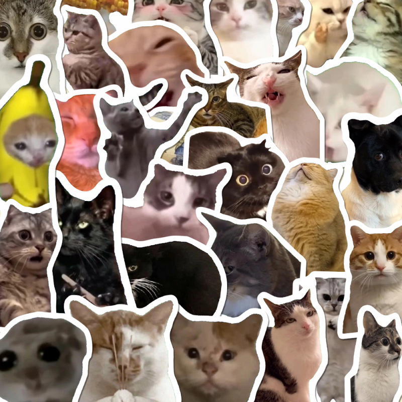 202 猫ミームステッカークリエイティブ面白いかわいいペットインスタイルハンドブック携帯電話ケースステッカー防水|undefined