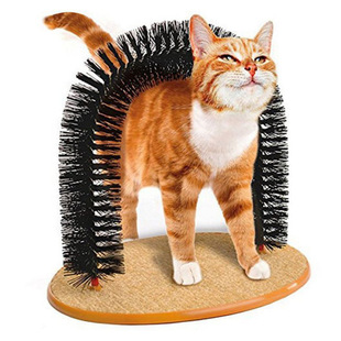 purrfect arch ؈ˢëˢ ��ë�� ؈ץ�W؈��ߌ�����Ʒ�����T��