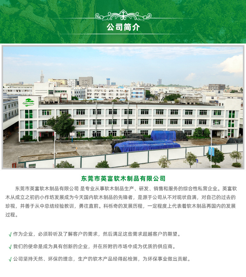 公司简介