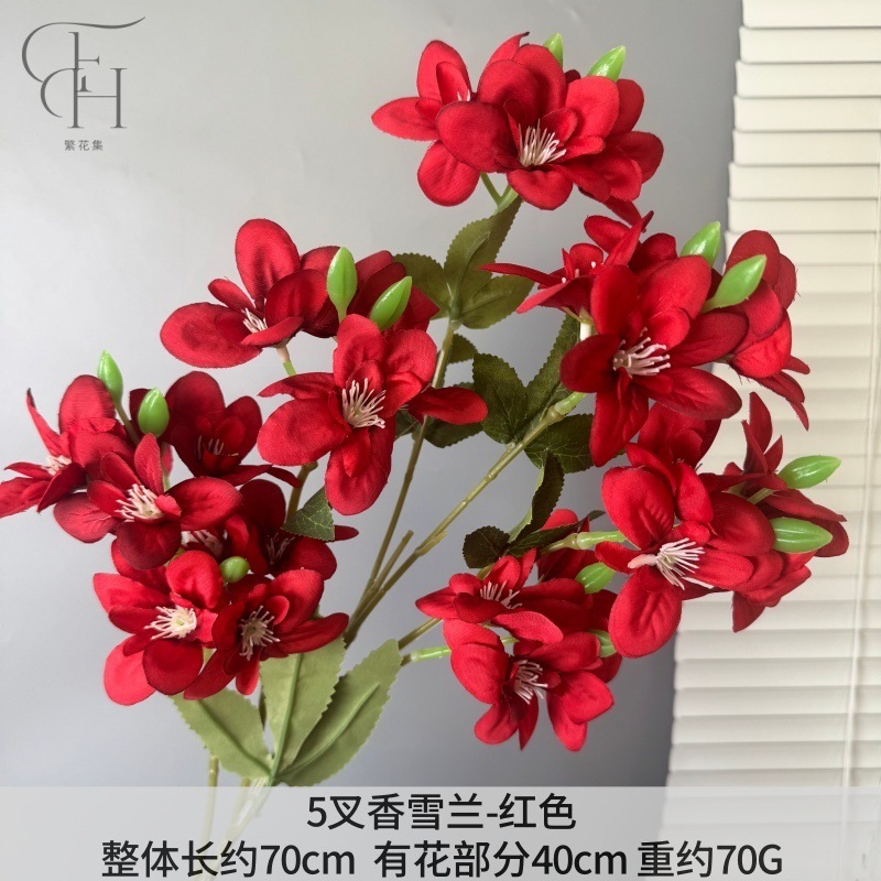 Orquídea de nieve fragante de 5 tenedores
