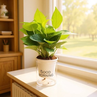 �Gֲ�k�����҃Ⱥ��B�Gֲ����ȩ�G�}�������滨��