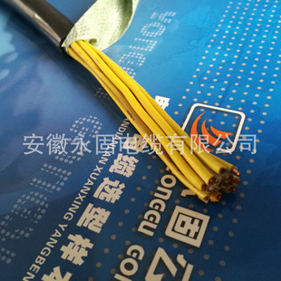 �S��ֱ�N KVV-10*1.0���˟o���~�z�O�ٰl؛������|