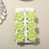 #11 Glossy light green [6-piece set with card] 4cm small daisy style
