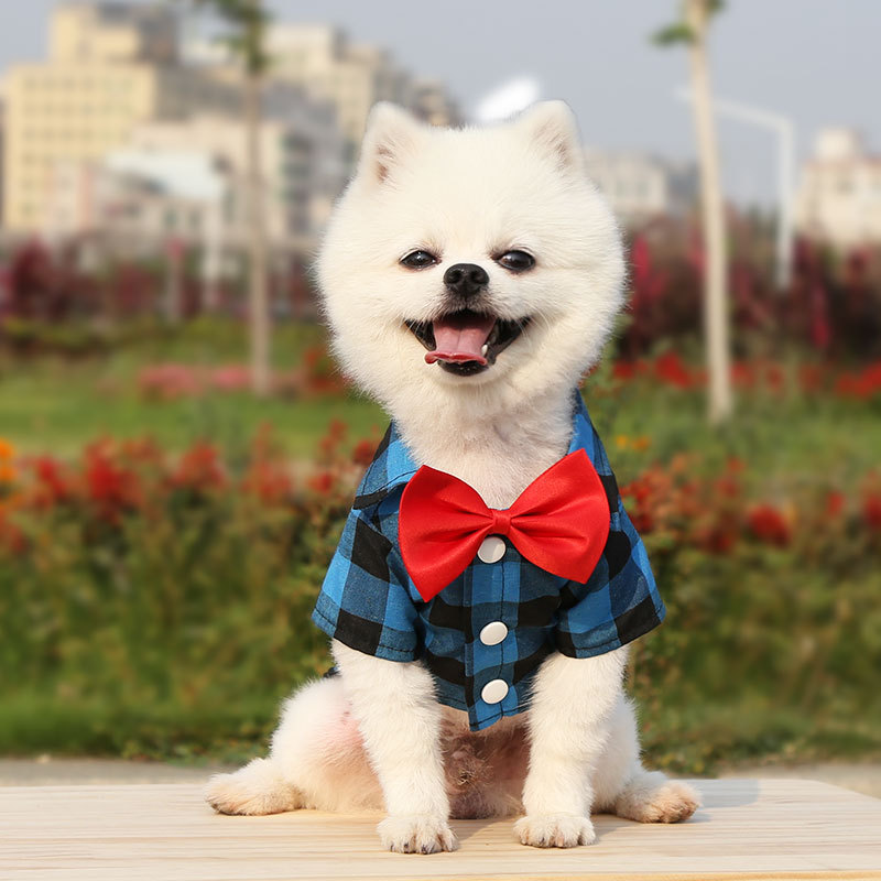 Perro camisa a cuadros traje vestido de boda oso peluche pequeño mediano y grande perro ropa para mascotas gato suministros