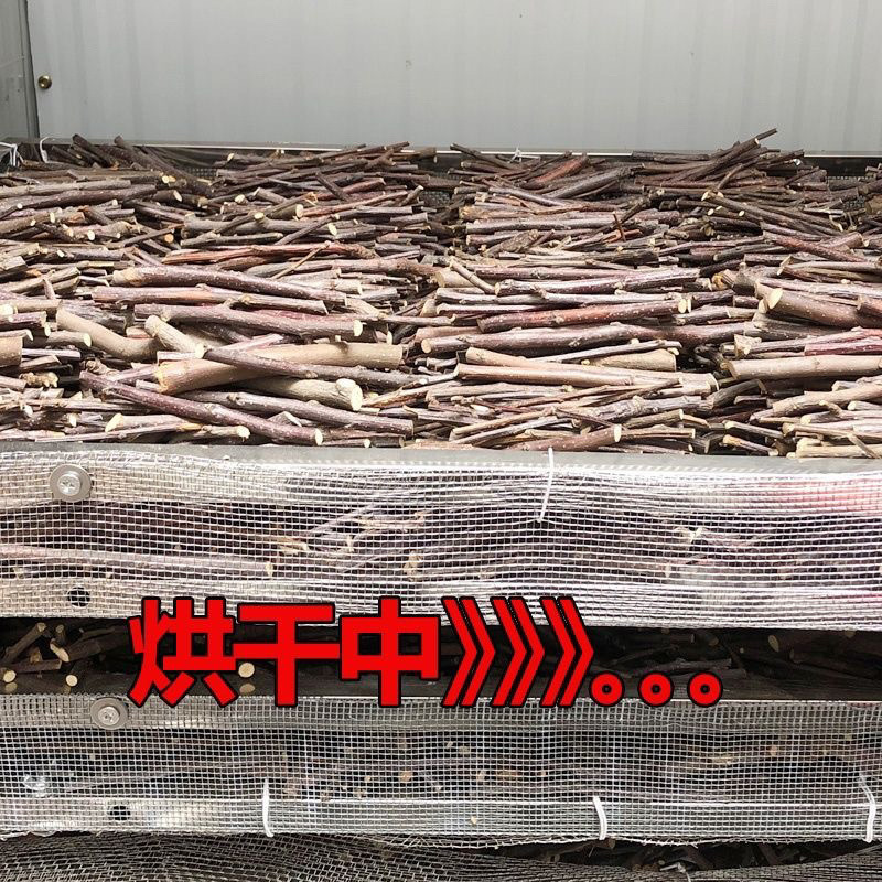 f29e35cf-f5ab-434d-926f-828492a932fe.jpe