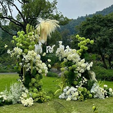 2024�߼��а׾Gɫ���滨���l��c�Gֲ�ٻ��b��J�������Y����