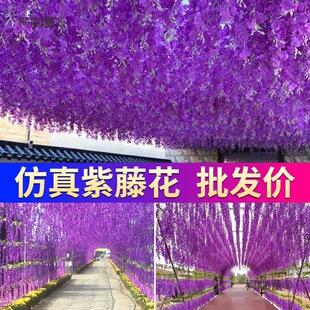 �������ٻ��ٻ����_�m��픻����҃Ȼ�c�b��ٗl���ϻ��l����̫��