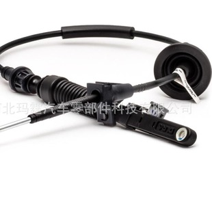 ������܇���� 15268403 �m��2003-2007���R�ԄӓQ�����Ƃ�ݔ��|