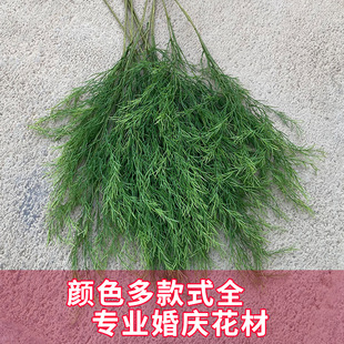 �W�t�����Gֲ�J������횲�Ī�λ��@�L�����쾰��c��Y��ˇ�廨