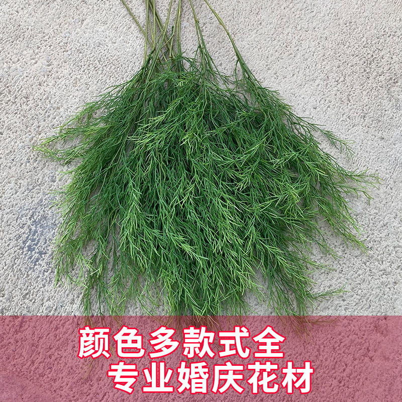 网红款仿真绿植芦荀草龙须草莫奈花园风橱窗造景婚庆婚礼花艺插花