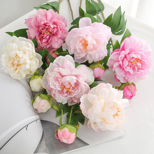 Ӱ���Ĕz���߷����p�ݼٻ����� �͏d�����[�����滨��2�^�P��ĵ��