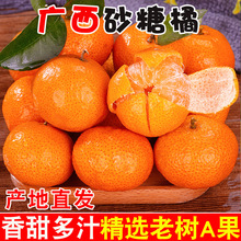 �Fժ�V��ɰ�������rɳ�ǽ۾��xС���Ӯ����r���ЋDˮ�������