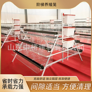 �g���\���uH�ͻ\���ӻ\�Bֳ�����uA�ͻ\�A��ʽ��ʽ�Ӵ��Bֳ���u�\