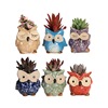 Cross -border new Japanese and Korean small animals colored thumb pot kiln transformed owl sets of succulent pot craftsmanship wholesale