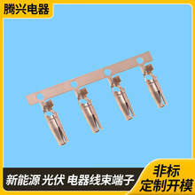 �S��ֱ�����~2.0ɏ������19.5~21.5�L�B�����Դĸ��2.3��ƿ����