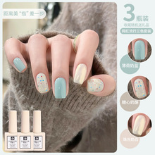 ���챡�����{ָ�����z2026���¿������@�׶�Ͱ���ɫ���b���׌���