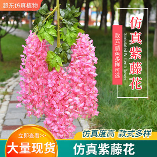 ��c�b��T�ٗl�������ٻ��������ٻ��Ȼ������ٻ�������