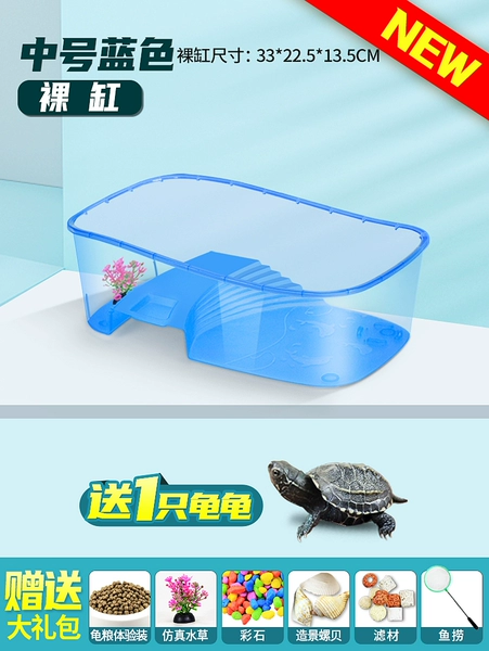 Mid -number blue cylinder to turtle+gift package