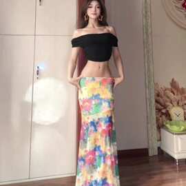 法式夏日彩色油画网纱半身裙低腰修身显瘦海边度假长裙跨境