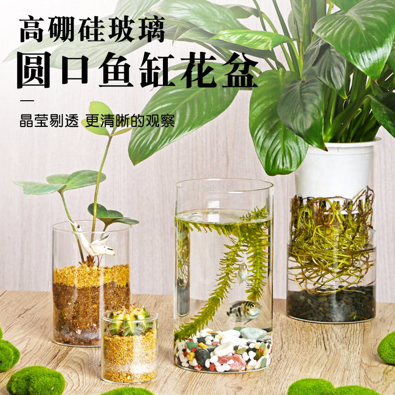 高硼珪酸ガラスの花瓶、オフィスデスク用、魚飼育、グリーンポトス、小型水槽、フラワーアレンジメント、水耕栽培、景観用植木鉢、装飾品、クリエイティブ|undefined