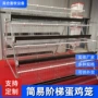 四层多层五门养鸡场鸡笼子