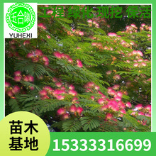 ���غϚg���� �G����ľ���� �Ϛg��q������ Ҏ���Rȫ