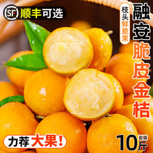 �ڰ���Ƥ���10��V��С�����۽�����r���𮔼�ˮ���ЋD������]