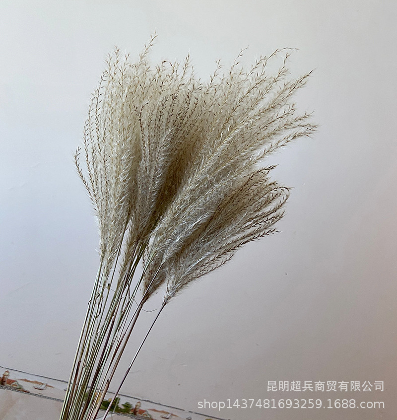 QQ图片20211106150802.jpg