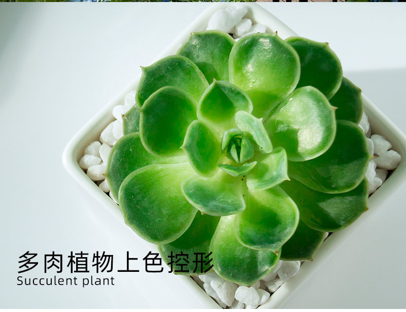 21177ee6-9969-4eb9-a711-66c8e498f45c.jpe