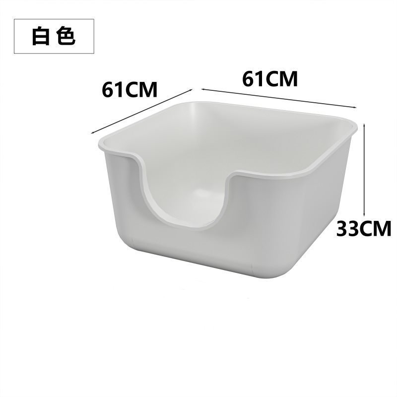 치자나무 화이트
