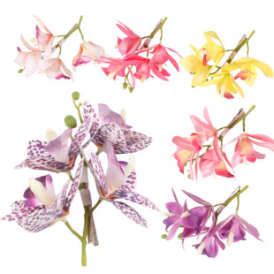 �W�tޥ�m���l�A�^�������^���Ůϵ��߅�zӰ�ȼٔ[�ıP�l�^�����l