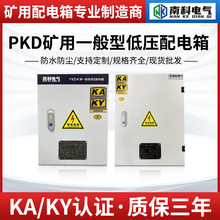 PKD�V�������  �⚤���x  ��KAKY���R�C��