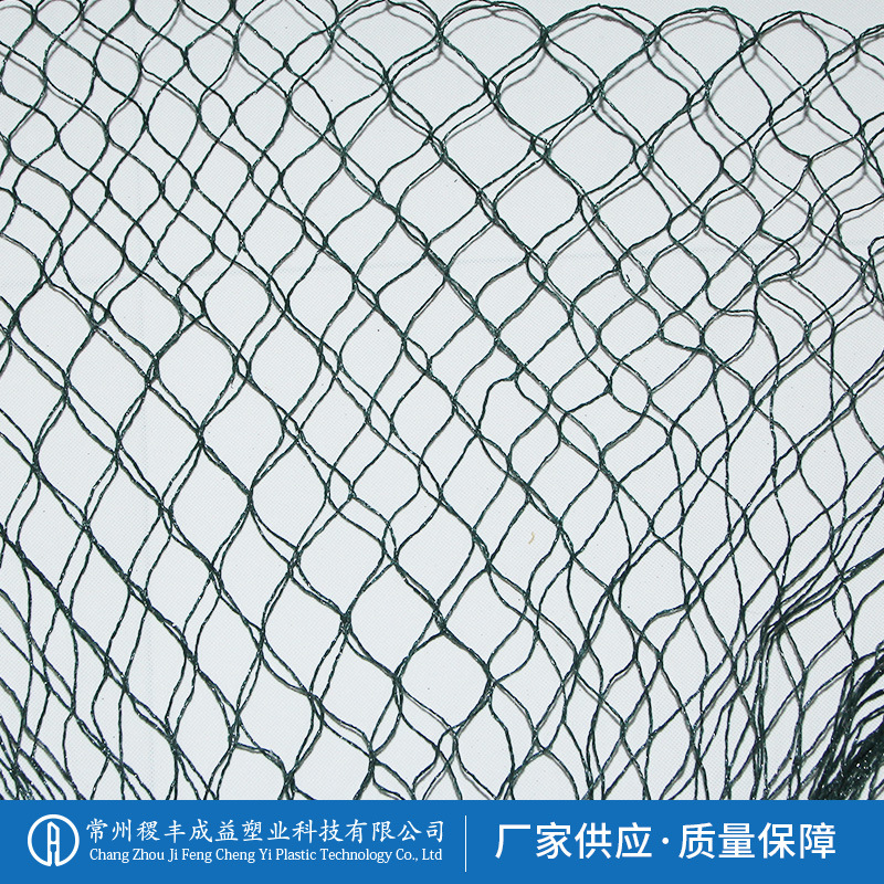 防鸟网花园保护网庭院植物水果树拦鸟类农业果园防鸟网现货批发
