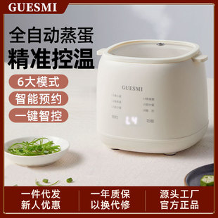 Rice Egg Boiler Household Automatic Power-off Egg Steamer Multifunctional Boiled Egg Artifact Mini Breakfast Machine Hot Spring Egg
