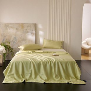 (Nianbing) 2025 New 60Sa Type Lenzing Tencel Washable Organic Silk Summer Quilt