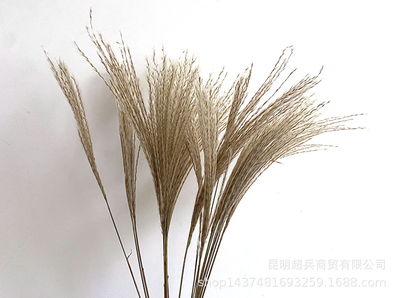 QQ图片20211106150845.jpg