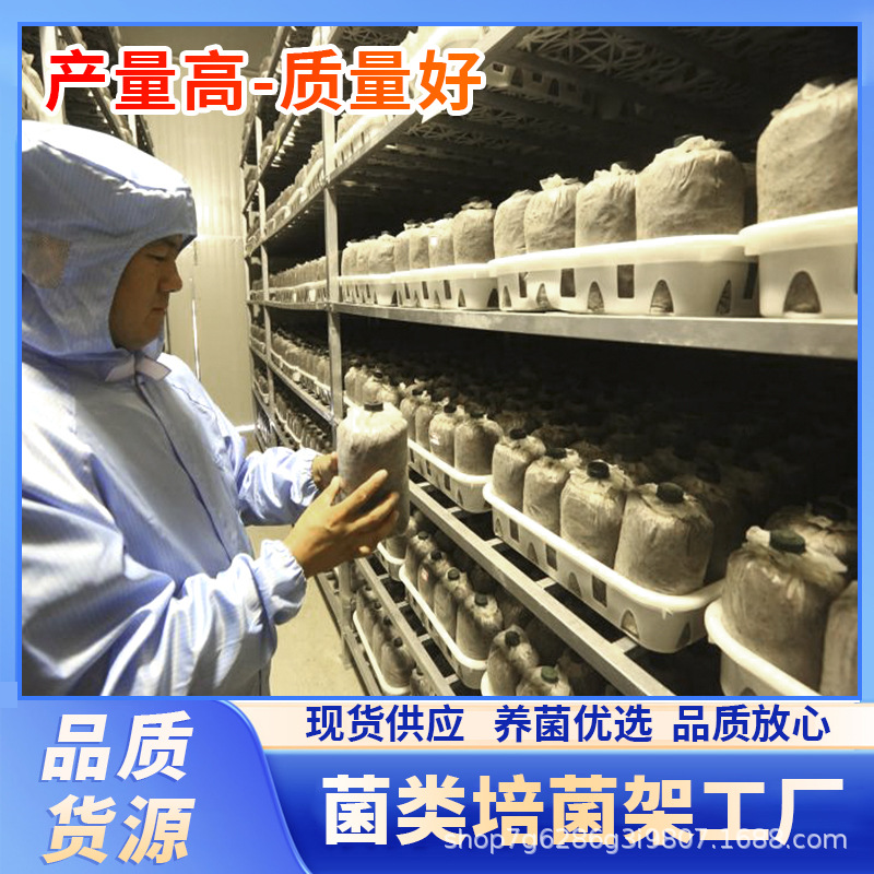 食用菌栽培种植网格架养菌层架出菇架网格组装带灯可移动培育菌架