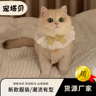 Cat autumn and winter clothing puppy warm lamb wool vest thickened cotton-padded clothes small dog two-legged clothes pet cotton-padded vest