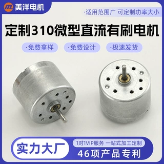 定制310微型直流有刷电机智能锁电动牙刷手电筒发电子锁电机马达